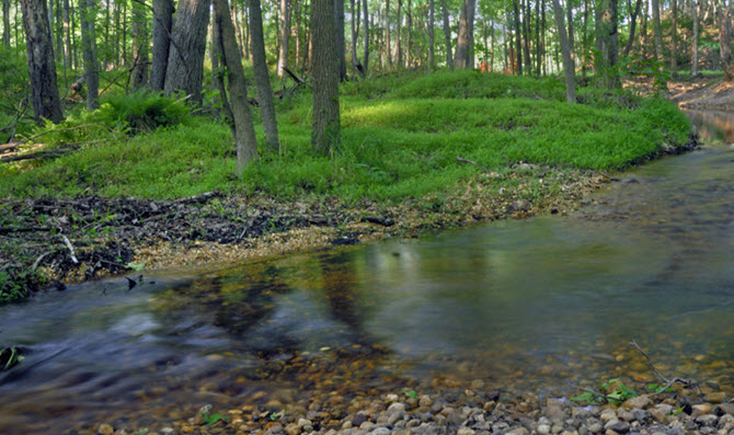 Plainsboro Preserve Creek and Woods